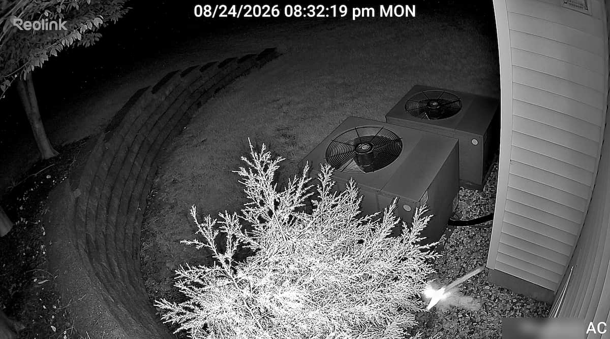 Reolink Detection Alarm Settings: How to Stop False Alerts From Bugs, Rain, and Wind 1 Reolink TrackMix night vision screen capture showing a flying insect triggering a false motion alert