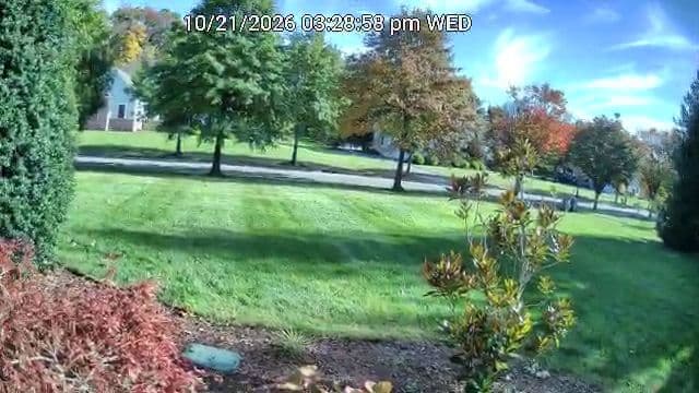 Unedited 4K daytime image captured by the Reolink Lumus Pro showing front lawn, autumn trees, and street