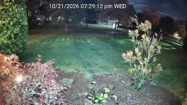 Reolink Lumus Pro color night vision test photo with the built-in spotlight turned on