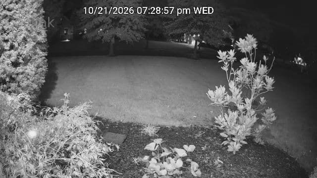 Reolink Lumus Pro infrared black-and-white night vision test photo showing deeper reach across the yard
